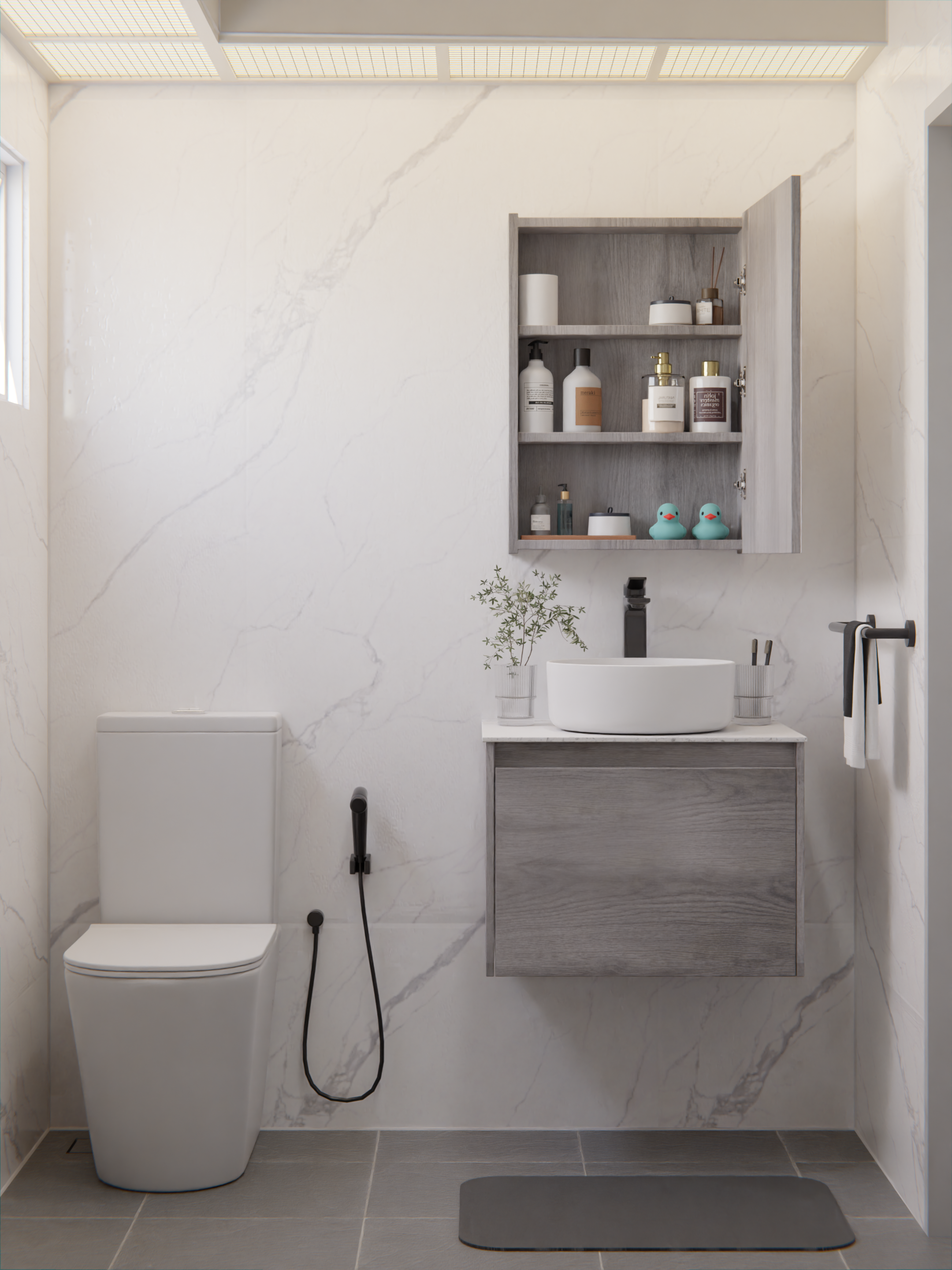 HERA Mirror Cabinet Charcoal Ash 5070MC-2-CA