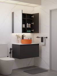 HERA Mirror Cabinet Graphite 8070MC-G