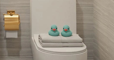 Toilet Bowls in Singapore